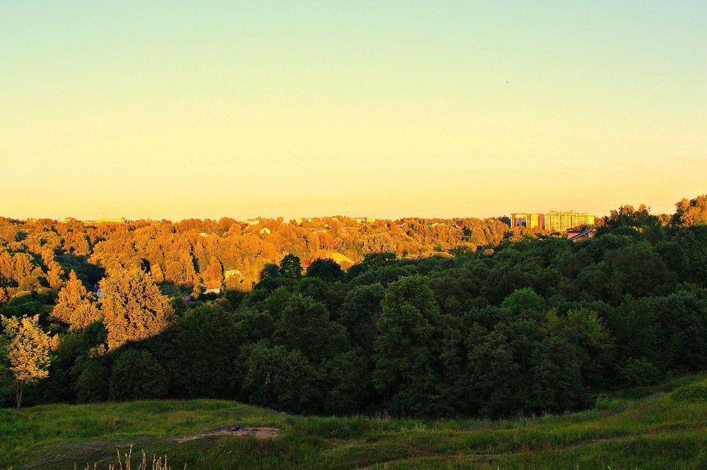 Вид на Смоленск за Крепостной стеной.