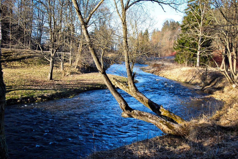 Photograph by Hanna Rein