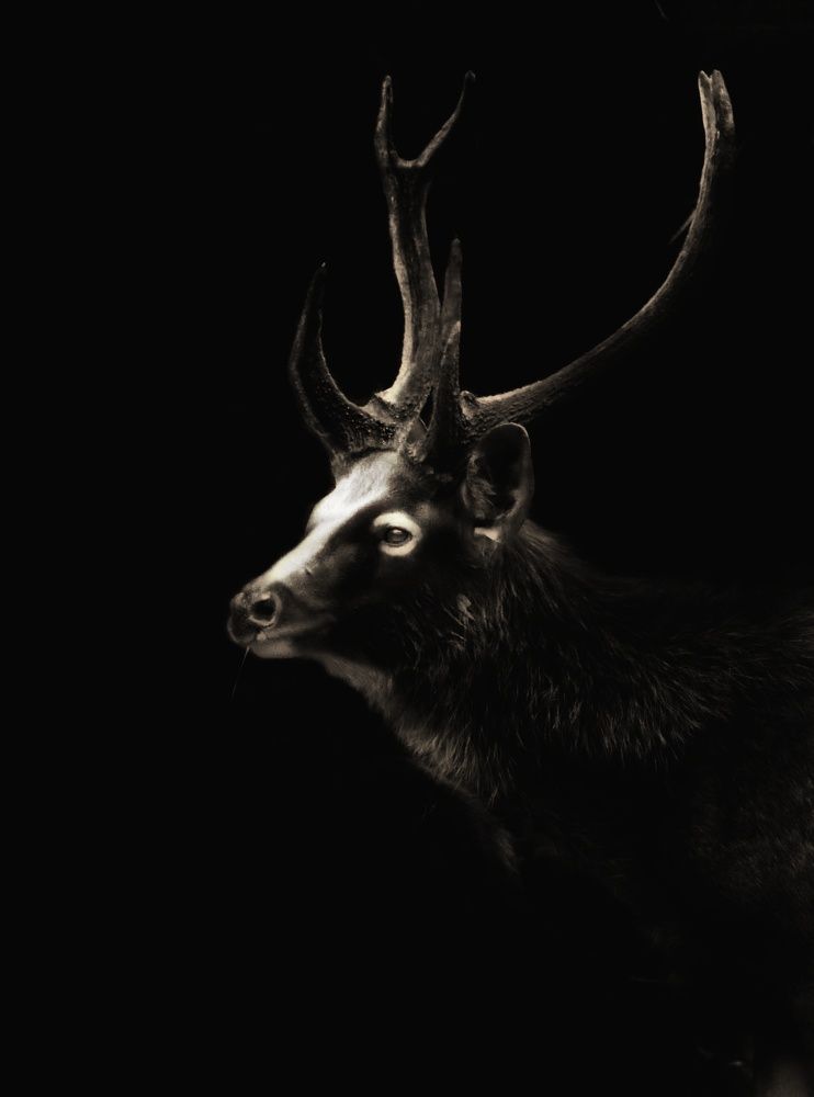 Photograph by Madhurya Mozumder