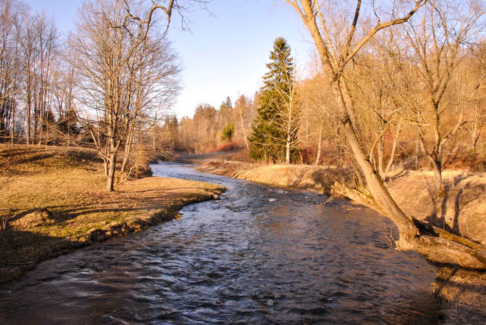 Photograph by Hanna Rein