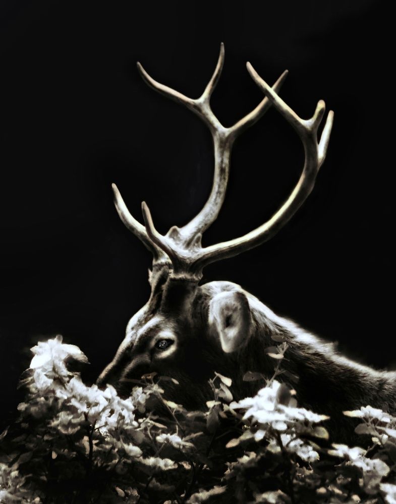 Photograph by Madhurya Mozumder