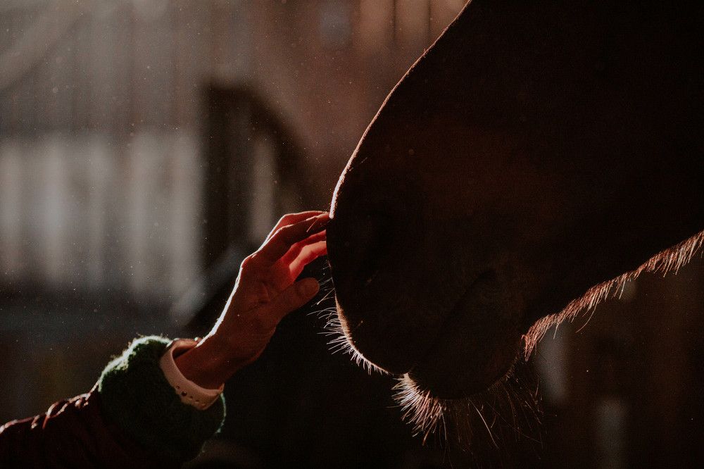 Photograph by Олеся Колитченко