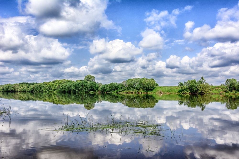 Photograph by Светлана Ващенко