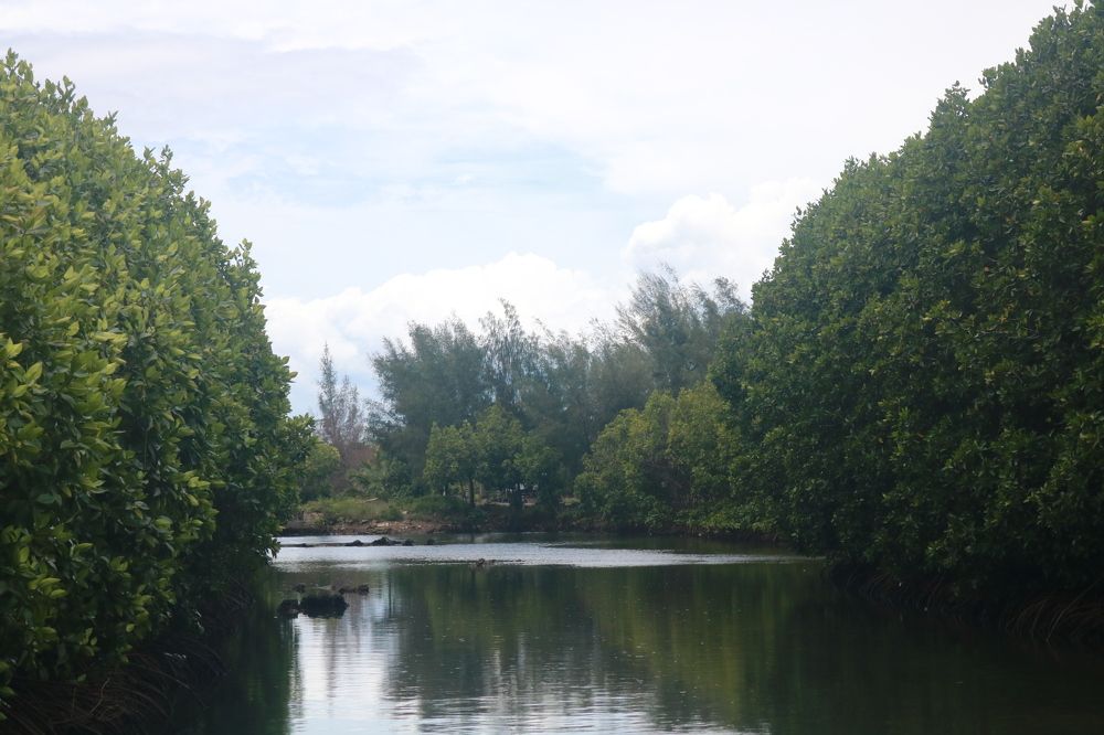 Photograph by Deasy Junita Dhani Hidayana