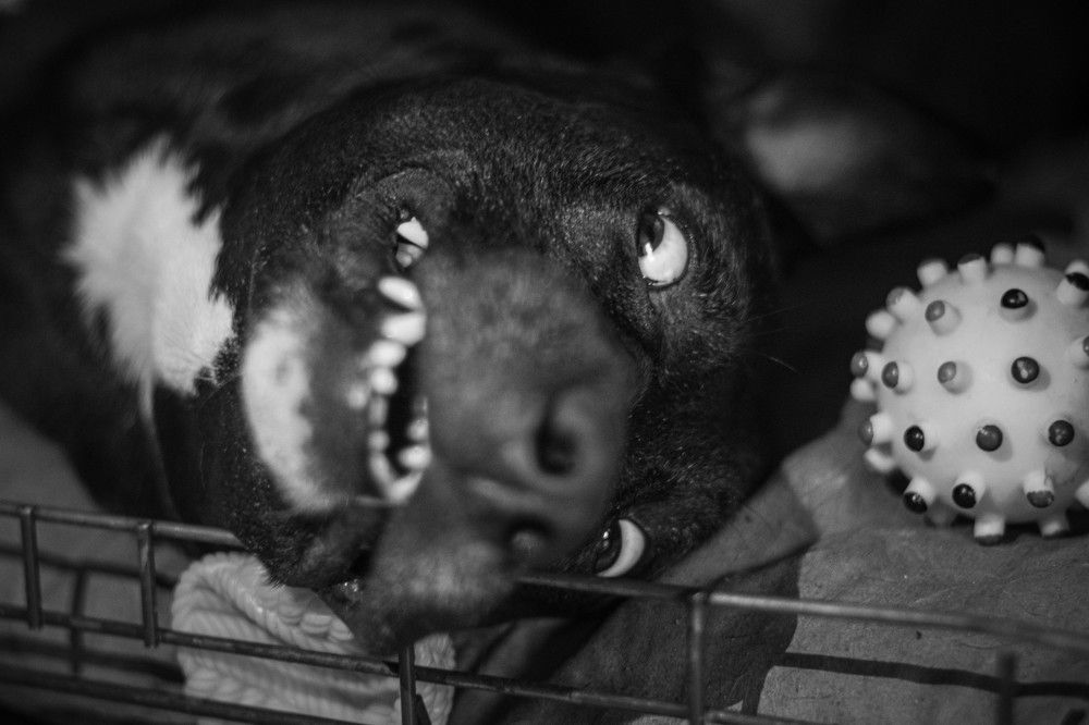 Photograph by Наталья Безмельницына