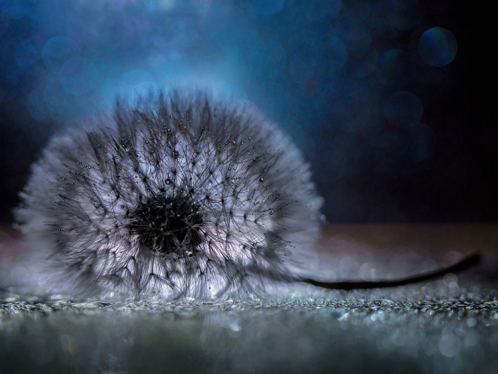 Photograph by Ксения Ершова