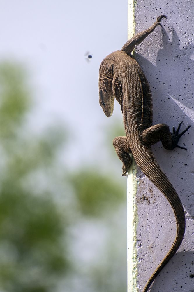 Photograph by mayur shrimali