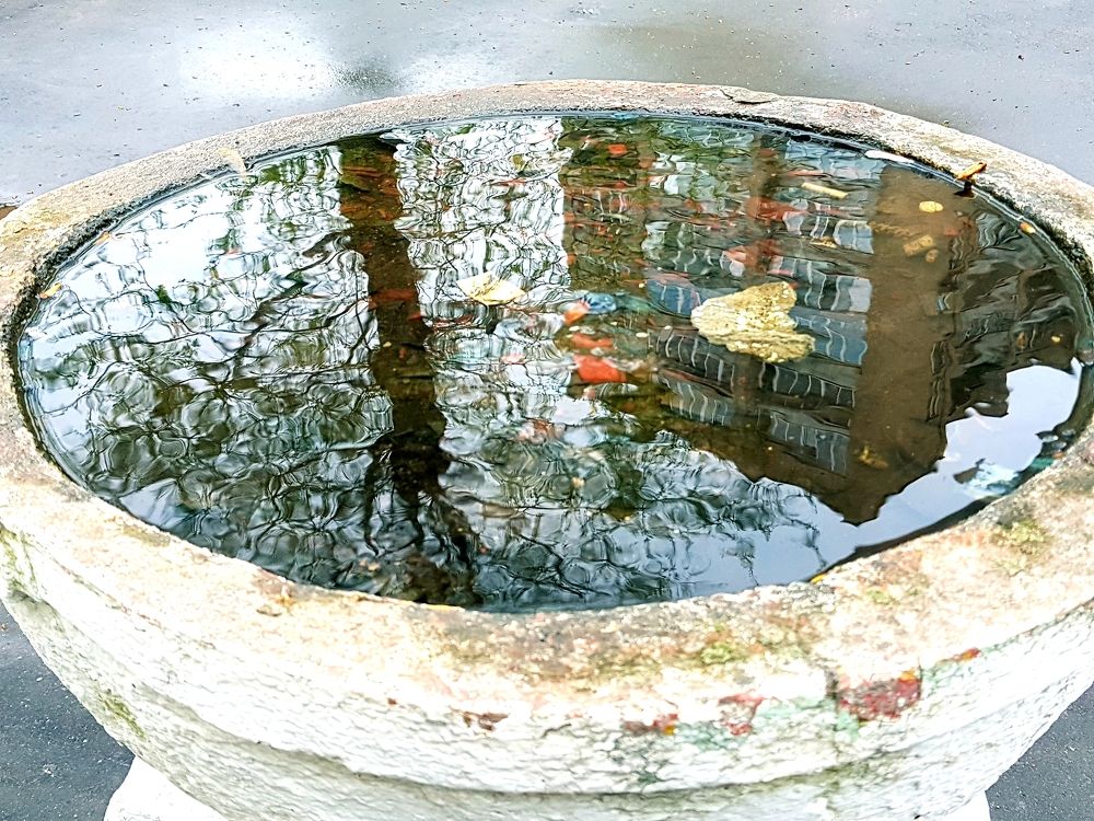 Photograph by Svetlana Khromova