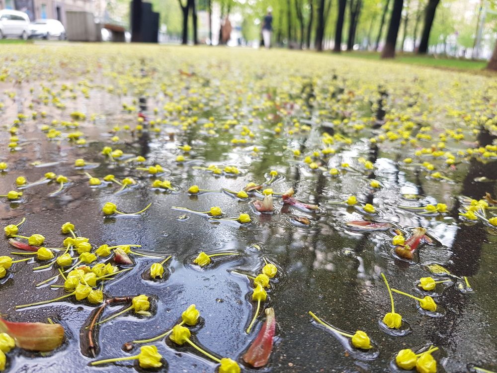 Photograph by Svetlana Khromova