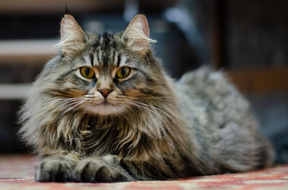 Photograph by Виталий Дрынов