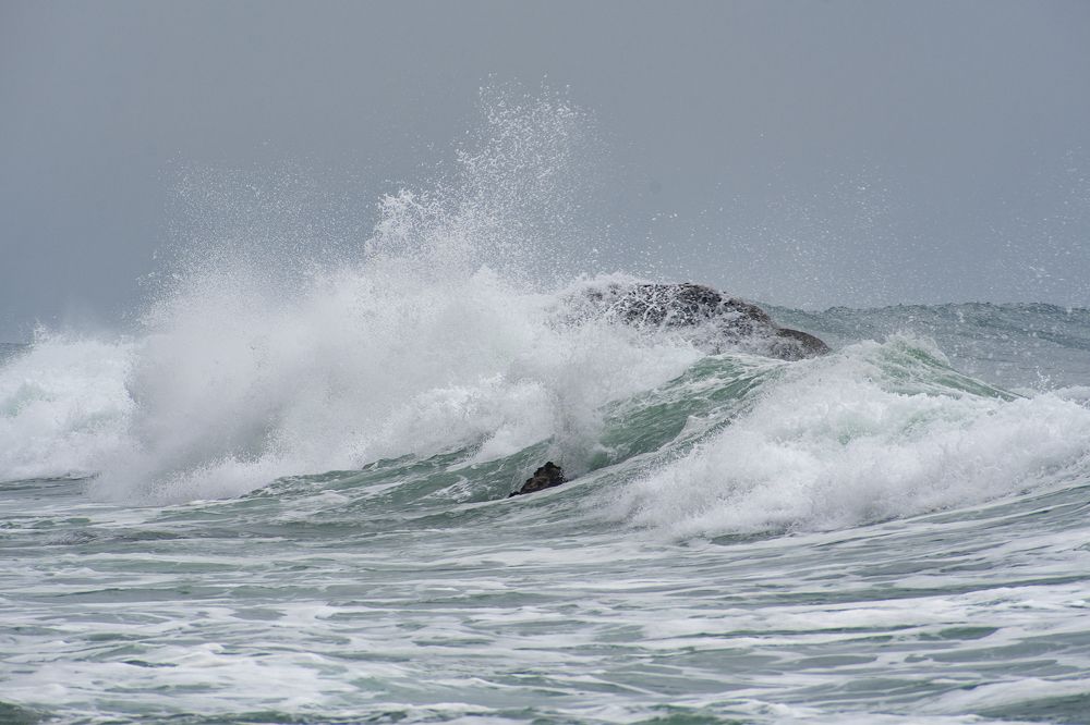 Photograph by Tatiana Zuikova