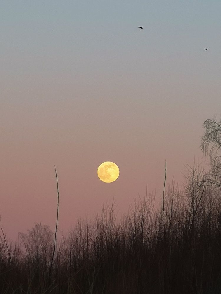 Photograph by Максим Ершов