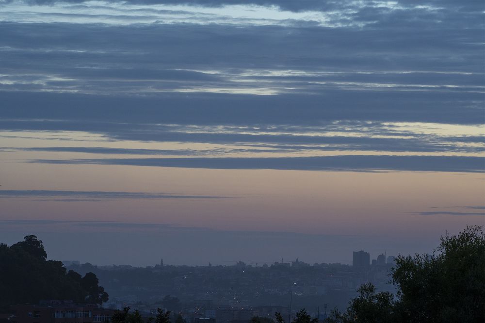 Photograph by Tatiana Zuikova