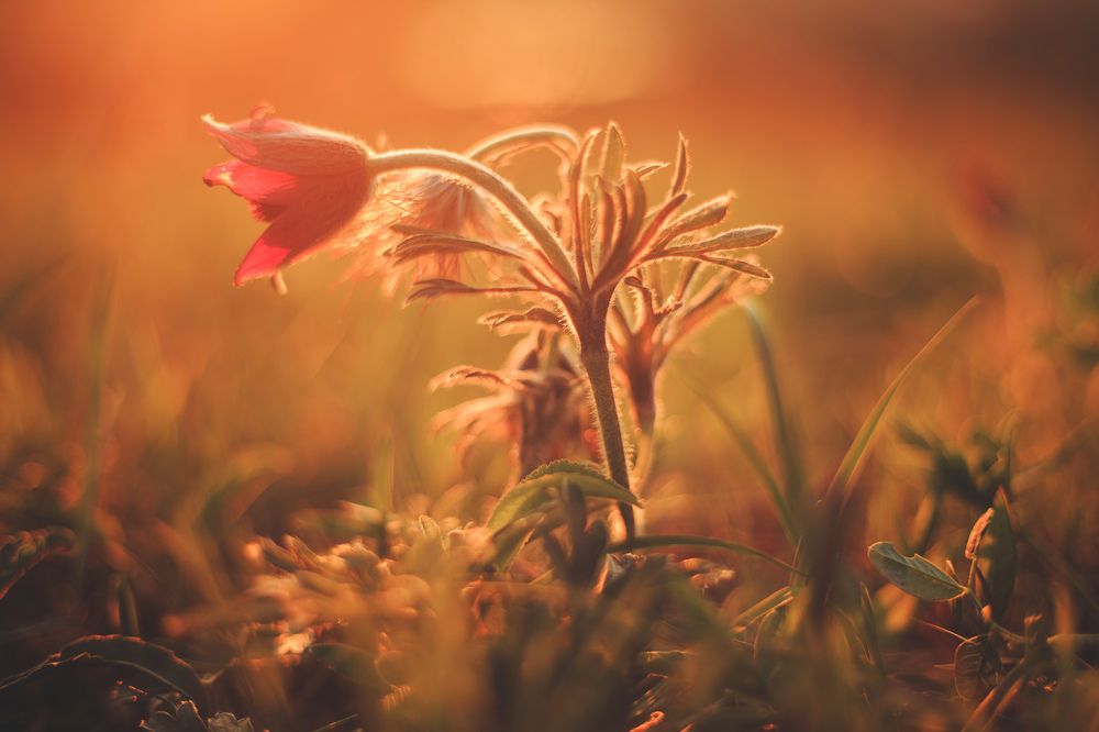 Photograph by Сигида Дмитрий