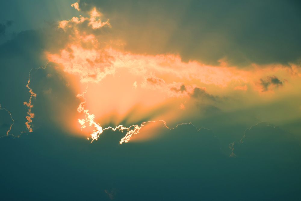 Photograph by Vy Van Bui