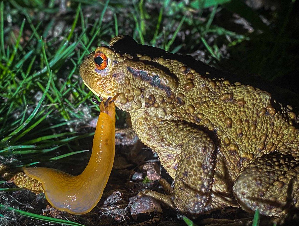 Photograph by LYUDMYLA POKRYSHEN