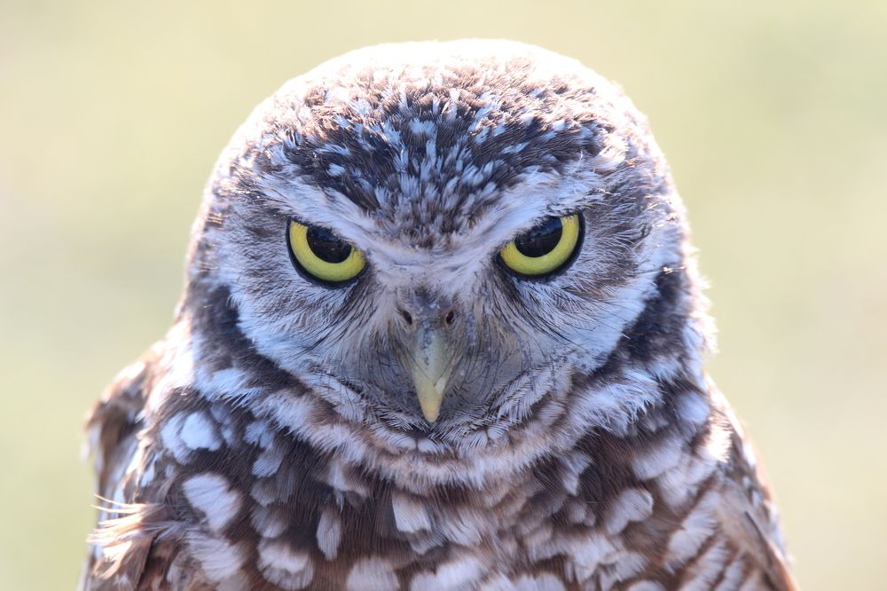 Photograph by Senthil Venugopalan