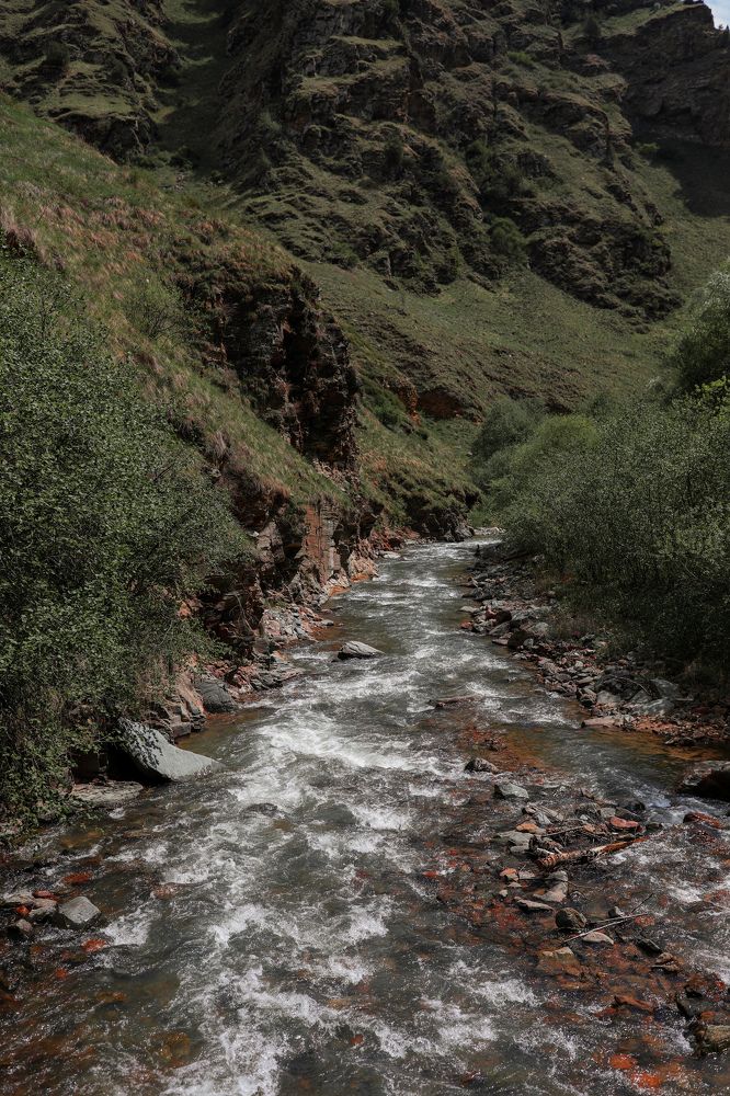 Photograph by Ирина Гончаренко