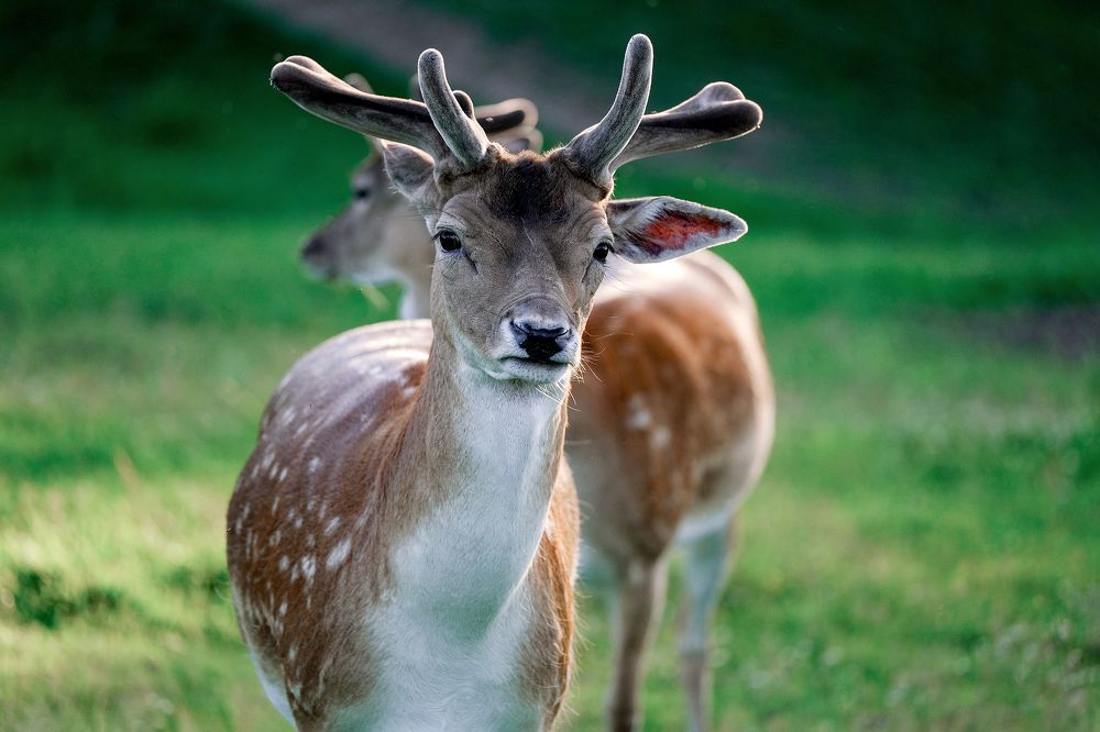 Photograph by Сергей Хазов