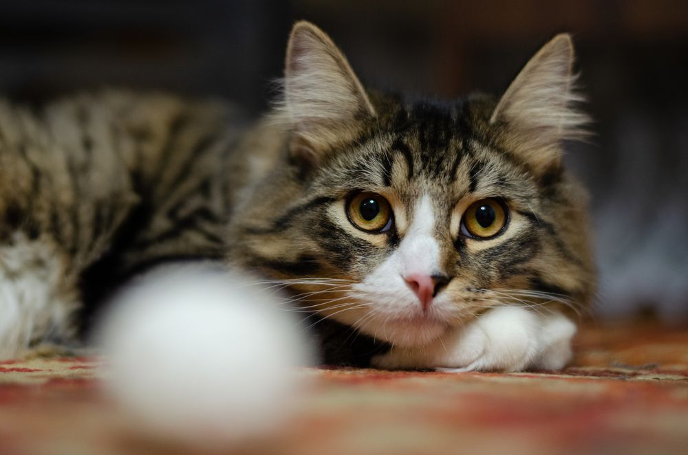 Photograph by Виталий Дрынов