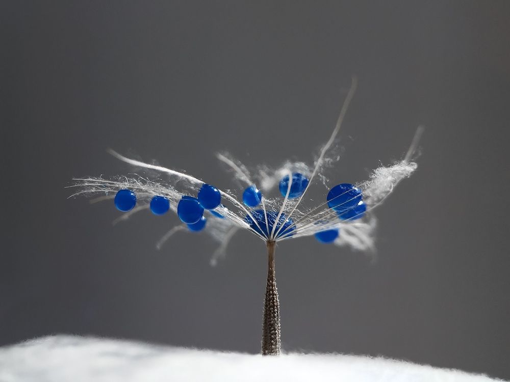 Photograph by Виолетта Афанасьева