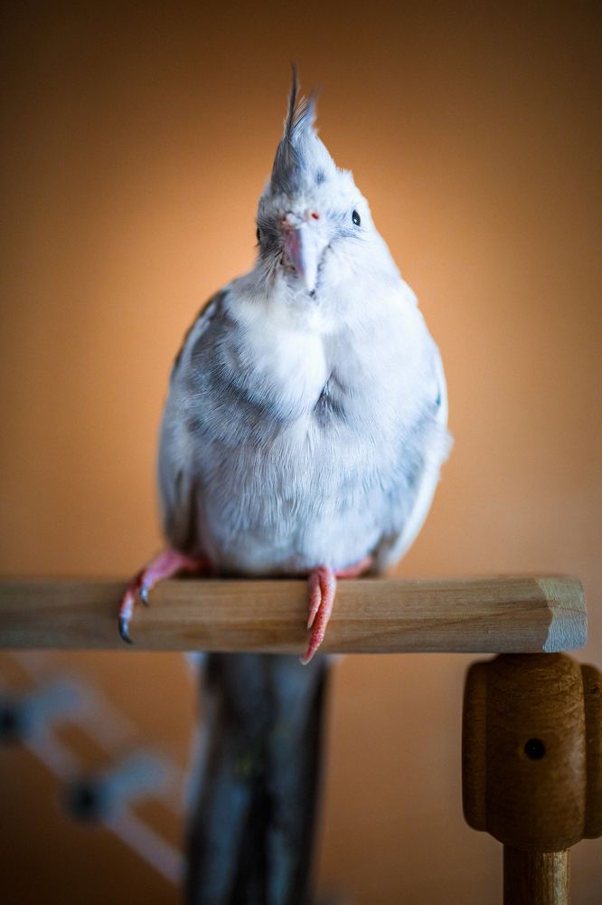 Photograph by Артемий Соловьёв