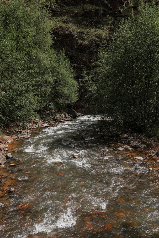 Photograph by Ирина Гончаренко