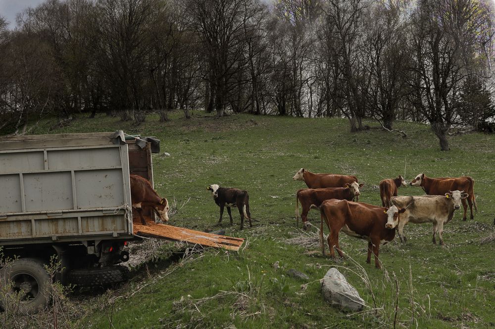 Photograph by Ирина Гончаренко