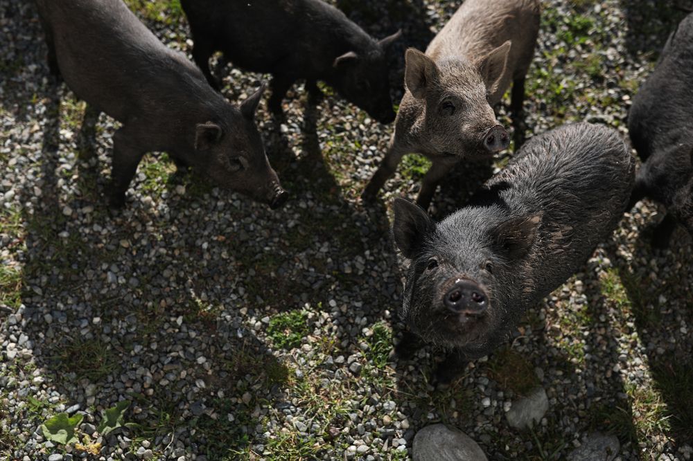 Photograph by Ирина Гончаренко