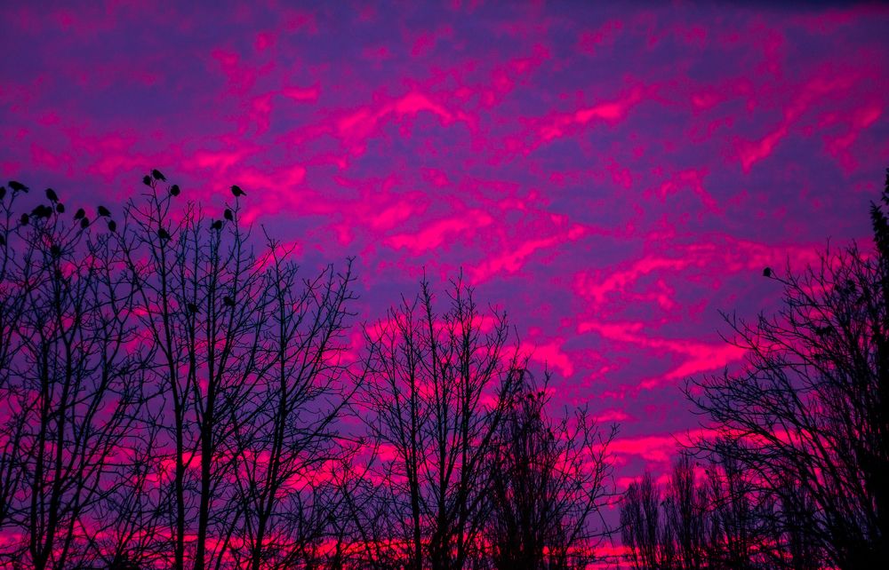 Photograph by Сергей Дорогокупля