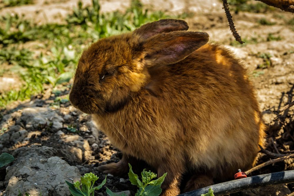 Photograph by Игорь Сидун