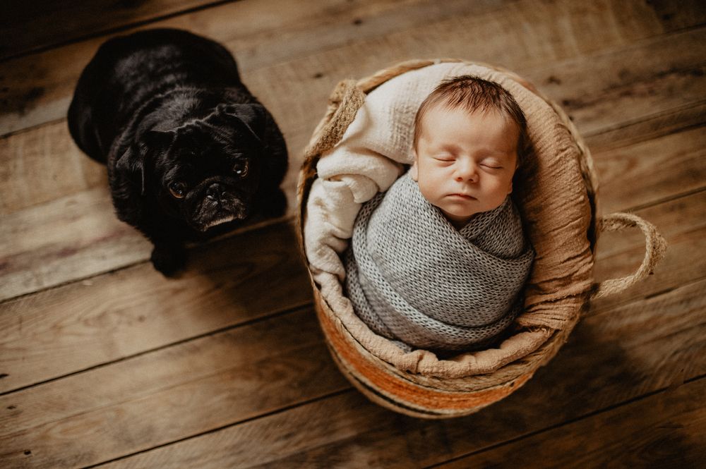 Photograph by Анна Довгополая