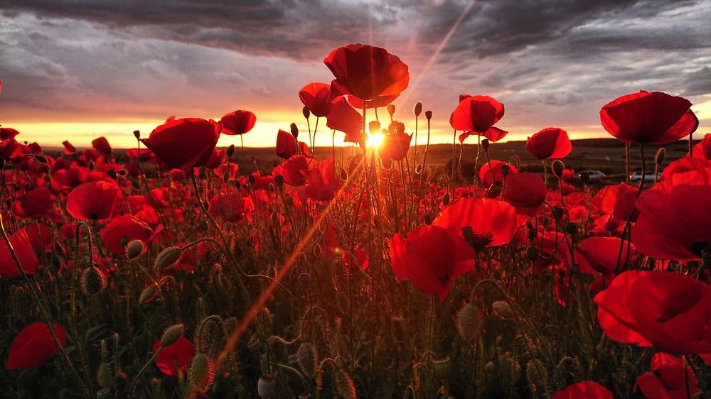 Photograph by Vili Polihronova