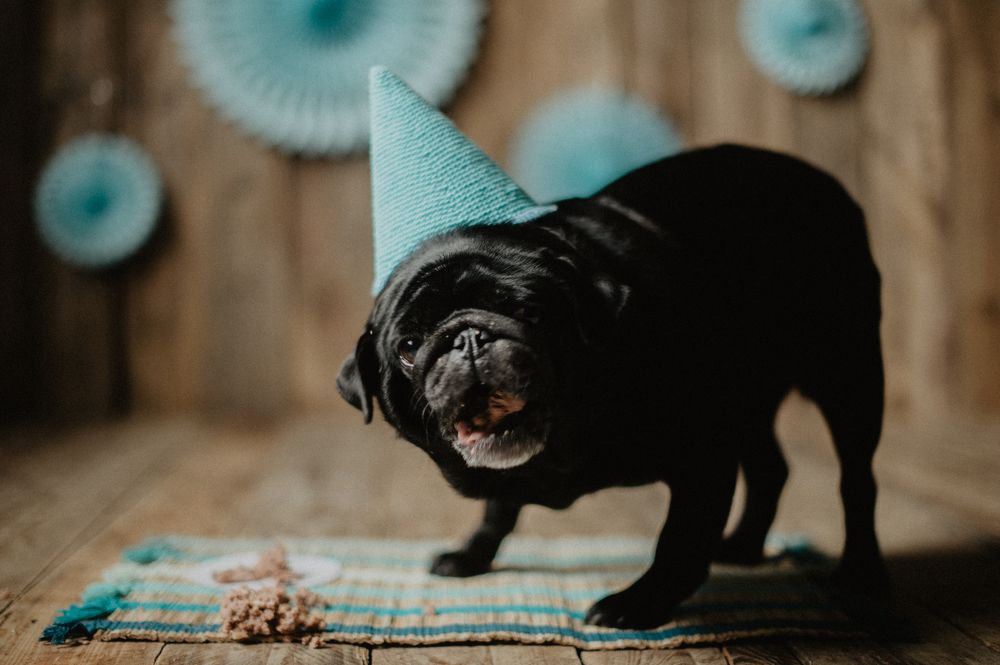 Photograph by Анна Довгополая