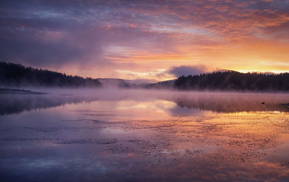 Photograph by Petya Lazarova