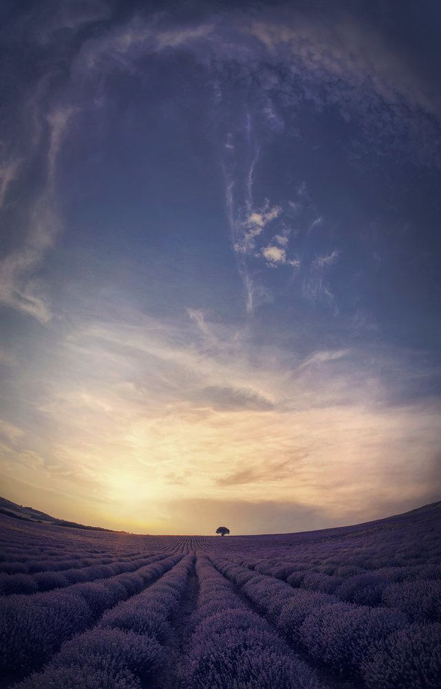 Photograph by Petya Lazarova