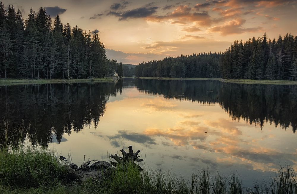 Photograph by Petya Lazarova