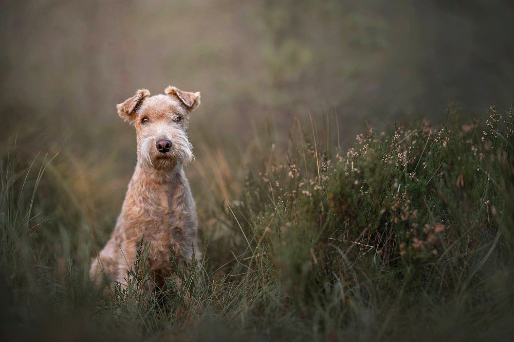 Photograph by Karina Saarestik