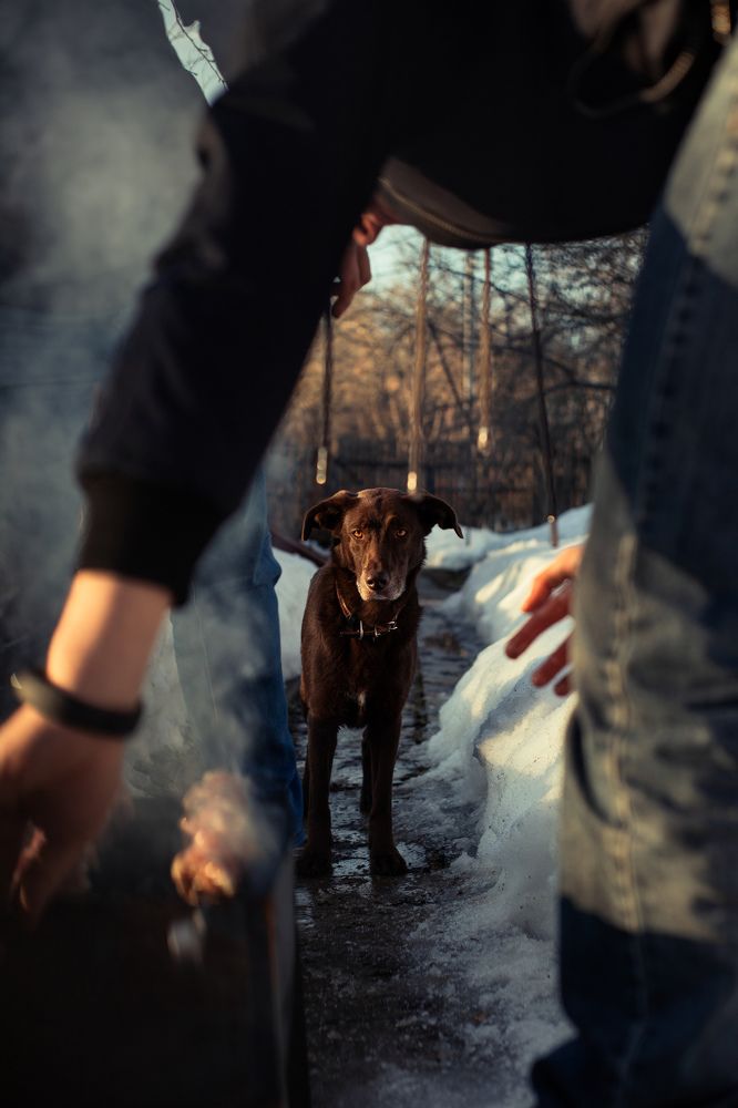 Photograph by Lidiya Naumova