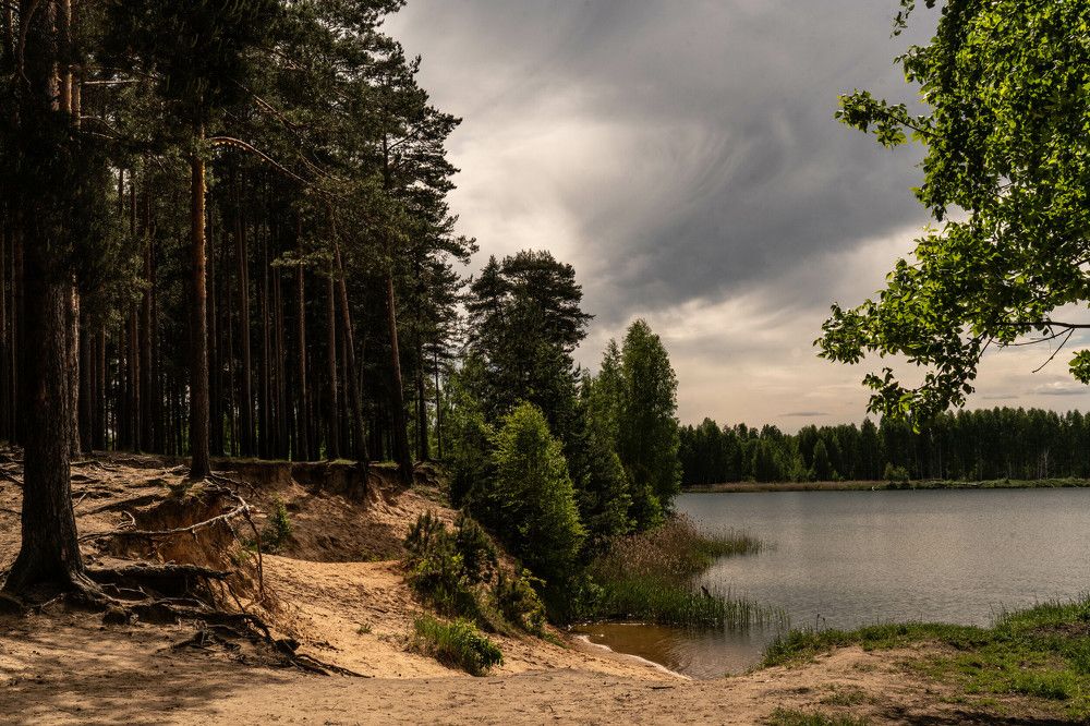 Photograph by Ксения Черных