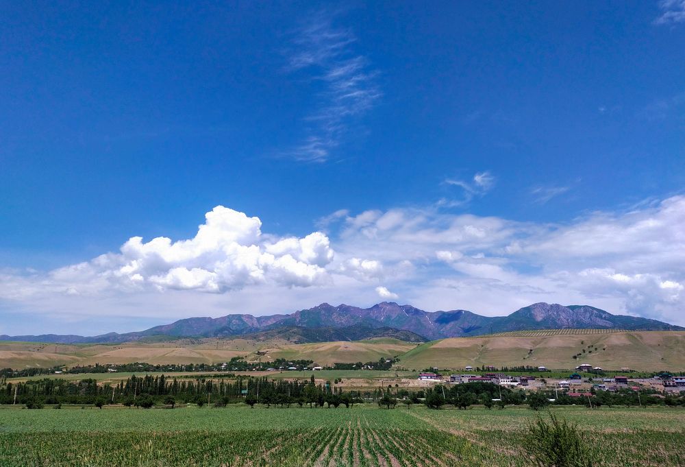 Photograph by Тихонина Анна