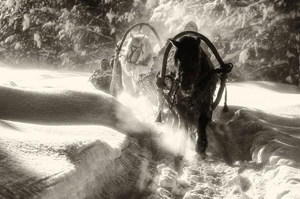 Photograph by Рашид Усманов