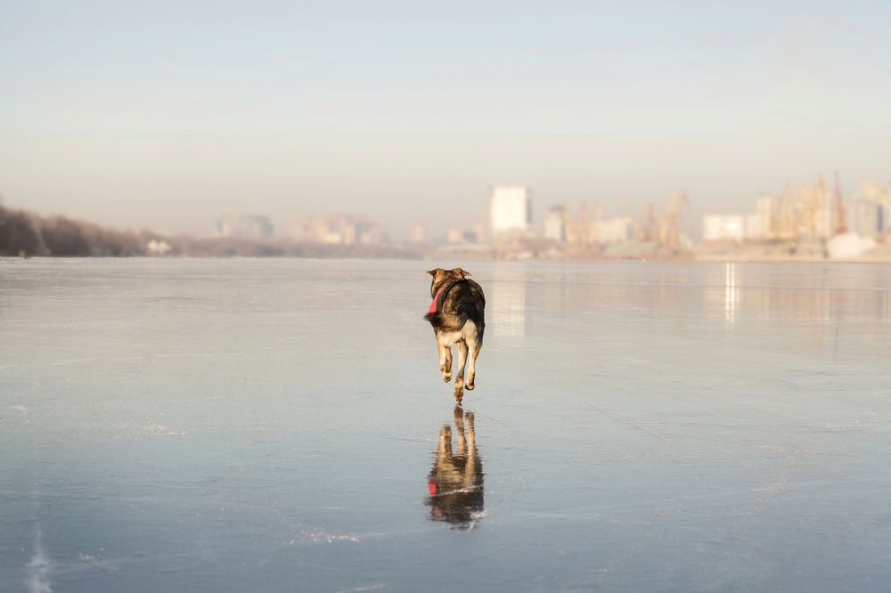 Photograph by Татьяна Степанова