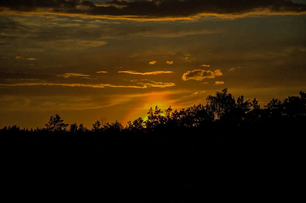 Photograph by Irina Lobko