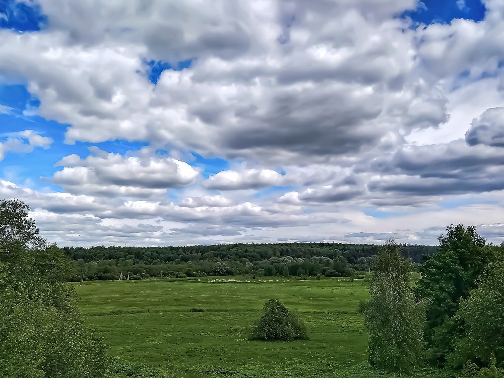 Photograph by Алексей Копылов