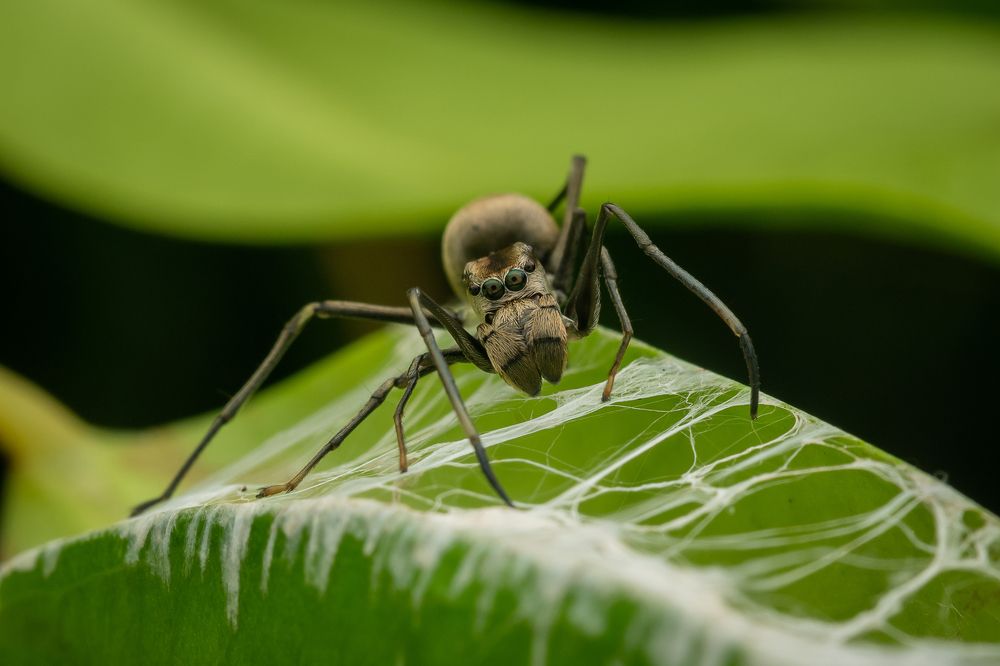 Photograph by Nicholas Ng