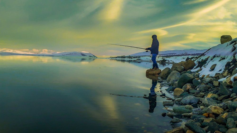 Photograph by mohammad Alipour