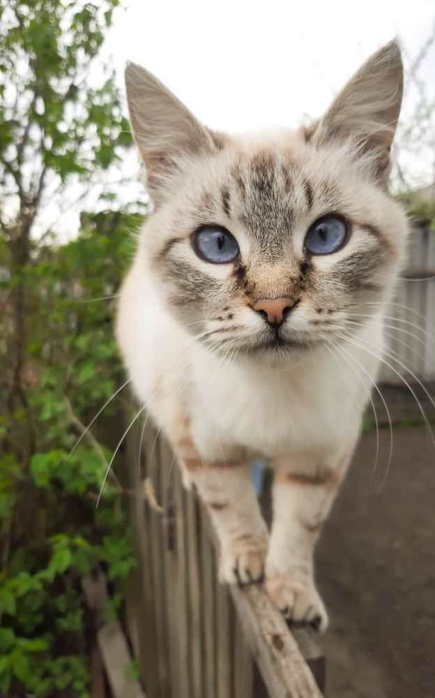 Photograph by Юлия Закопайло