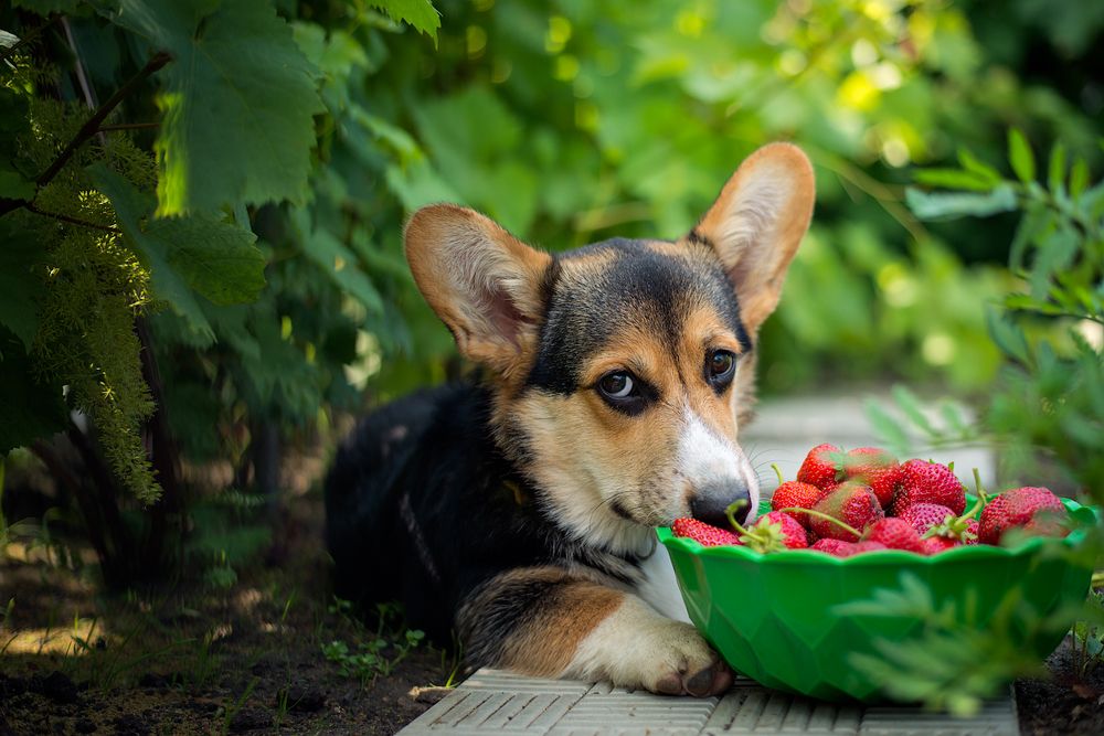 Photograph by Нина Дубровина