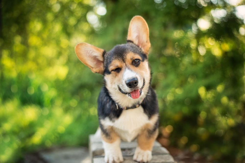 Photograph by Нина Дубровина